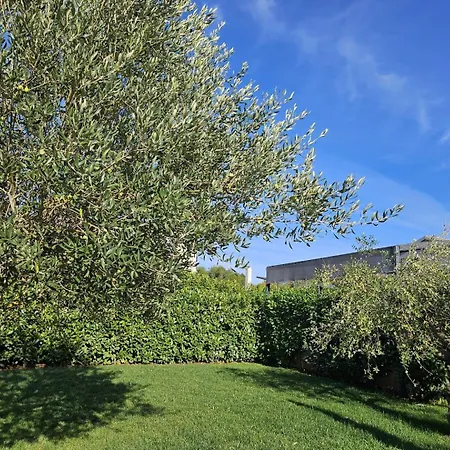 Villa Alloro With Pool *